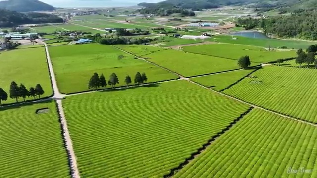  구리 사회복지사2급자격증기간 , 사회복지사2급 경력없어도 학점은행제 활용하여 간편하게