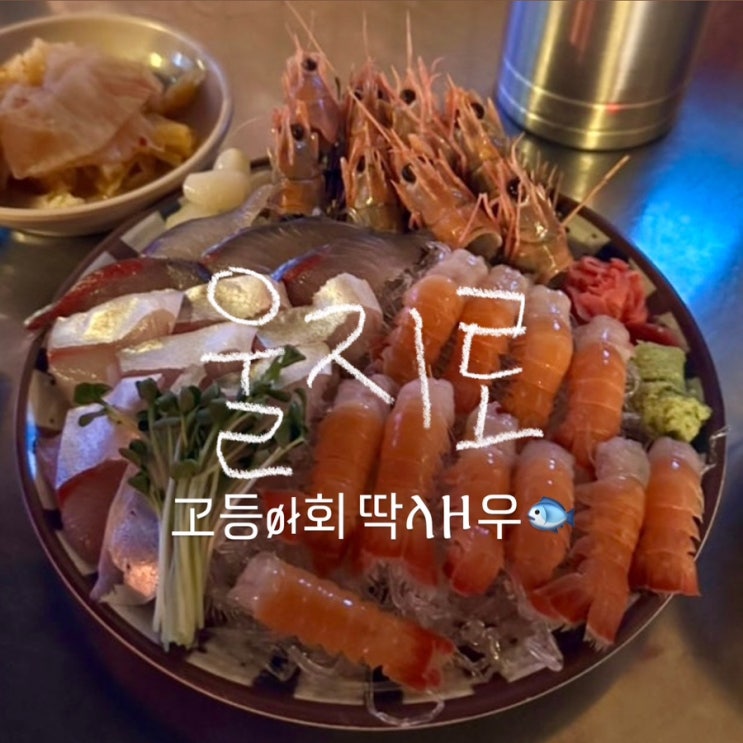  울산 삼산동 술집 울지로 : 울산고등어회, 제주한판, 딱새우회, 옥수수전