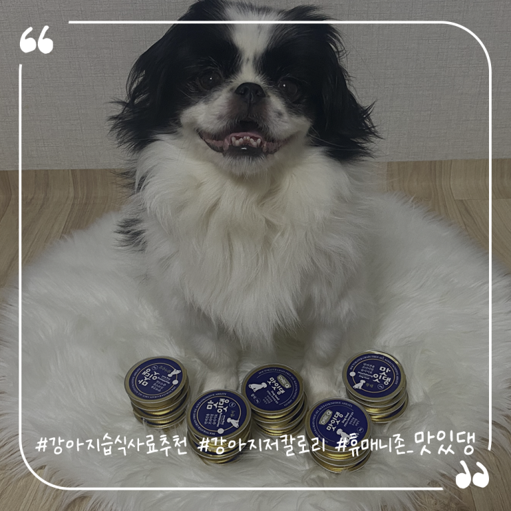  강아지습식사료추천 강아지저칼로리 휴매니존 맛있댕