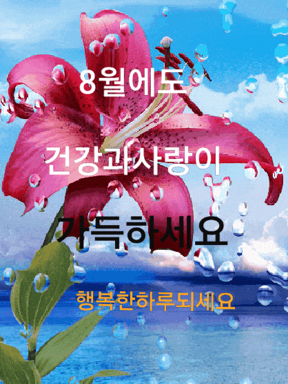  8월 좋은 아침 인사말 무더위 찜통더위 안부 이미지, 여름 비오는 날 장마철 카톡인사