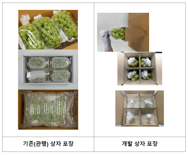 ‘포도 온라인 배송’ 안심 상자로 ‘안전하게’ ‘포도 온라인 배송’ 안심 상자로 ‘안전하게’