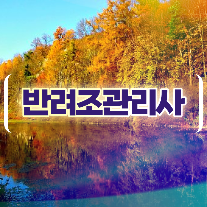  대형 앵무새 종류 , 반려조관리사 자격증 응시자격 없이 준비한 과정 , 취업