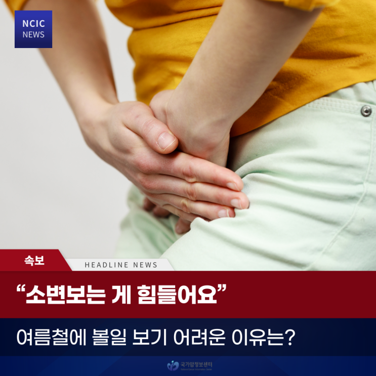  “소변보는 게 힘들어요” 여름철에 볼일 보기 어려운 이유는?