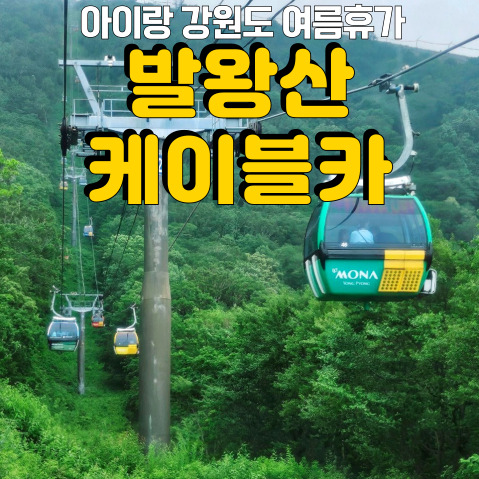  2024 여름휴가! 아이랑 강원도 갈만한 곳 <발왕산케이블카>