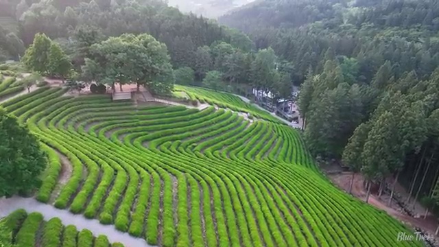  서산 사회복지사자격증2급 ? 사회복지사2급 고졸자도 독학으로 수월하게