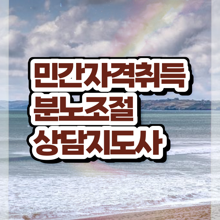  유아 분노조절장애 , 분노조절상담지도사자격증 취득 정보 , 취득 후 전망