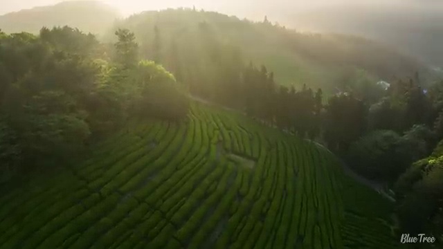  사무자동화산업기사 엑셀 사무자동화산업기사 시험응시자격 인강으로 간단하게 끝낸 노하우