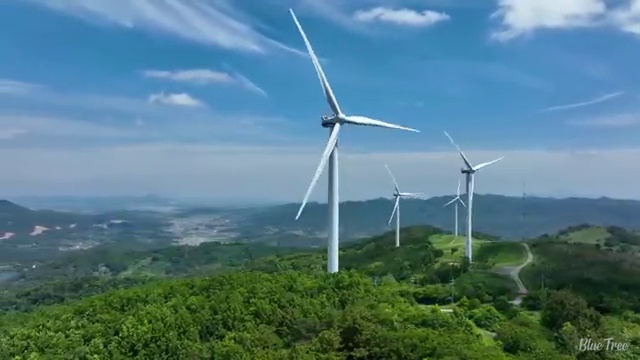  학점은행제 보육교사2급자격증 , 고졸도 학점은행제로 최단기간 끝내는 방법