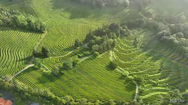  버섯산업기사 자격요건 집에서 온라인으로 15주 동안 완료한 방법