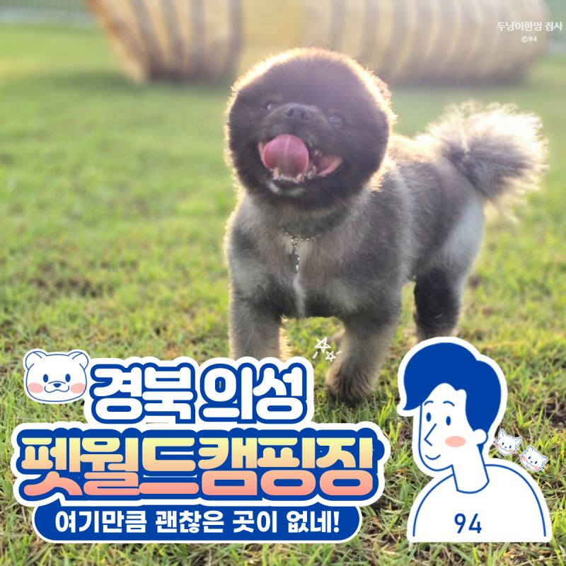사진 5