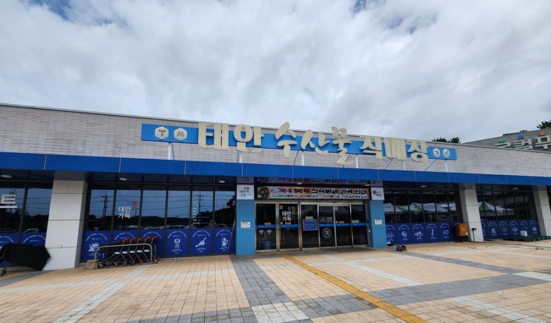 사진 5