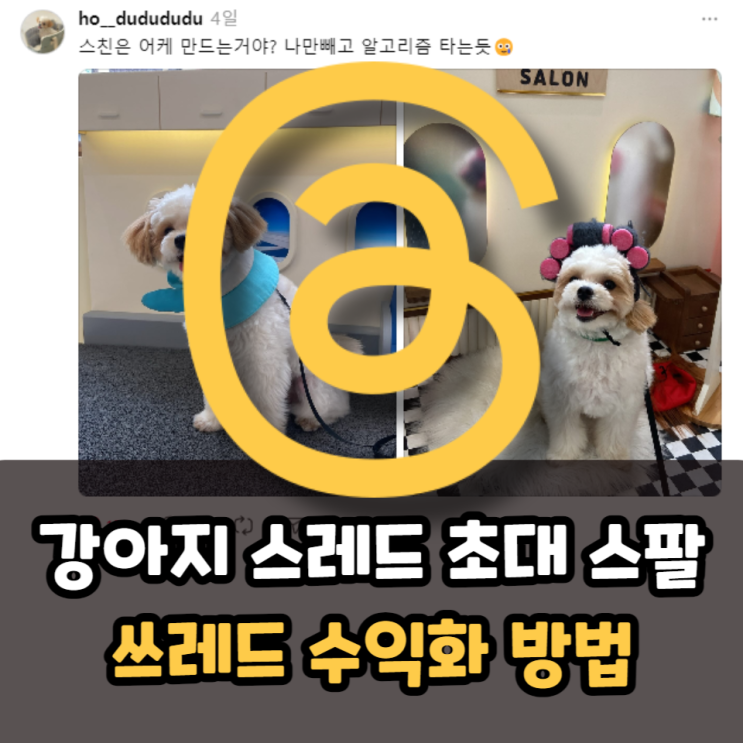 강아지 스레드 초대 스팔, 쓰레드 수익화 방법