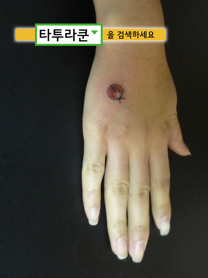  컬러 무당벌레타투- 서양에서는 무당벌레가 손가락 끝을 타고 날아올라 천국에 간다고 합니다.이리호 2013. 3. 20. 18:27
