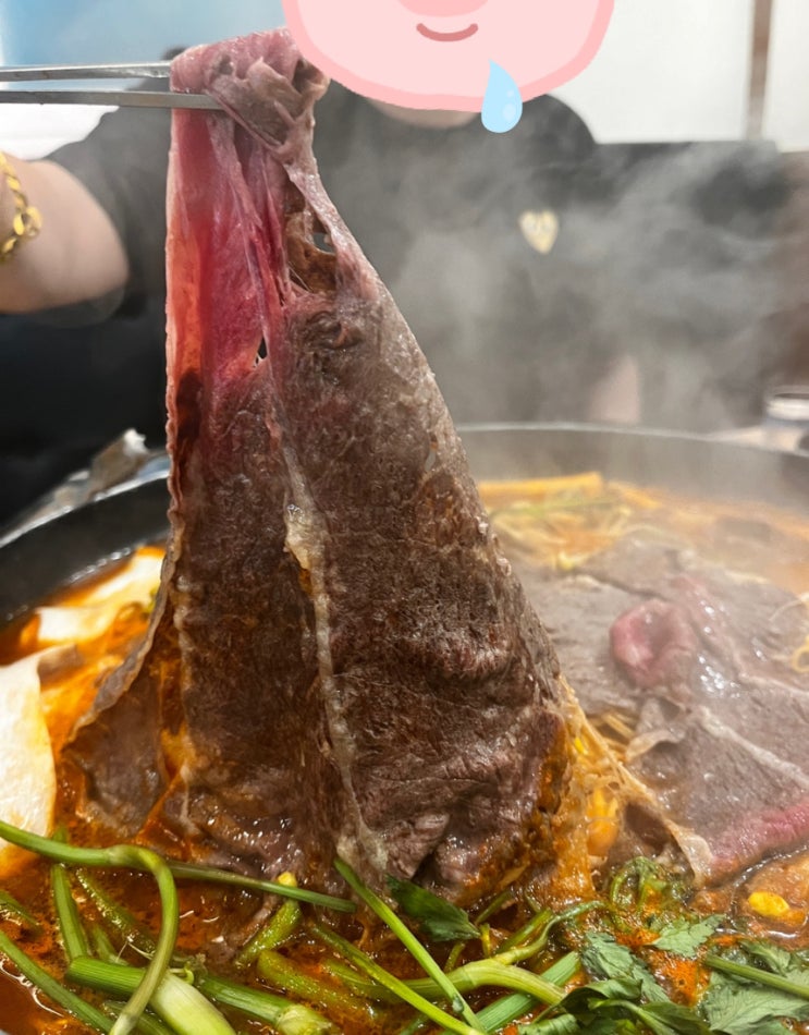  대전 괴정동 맛집 소고기 샤브샤브 신사우물갈비 솔직 후기