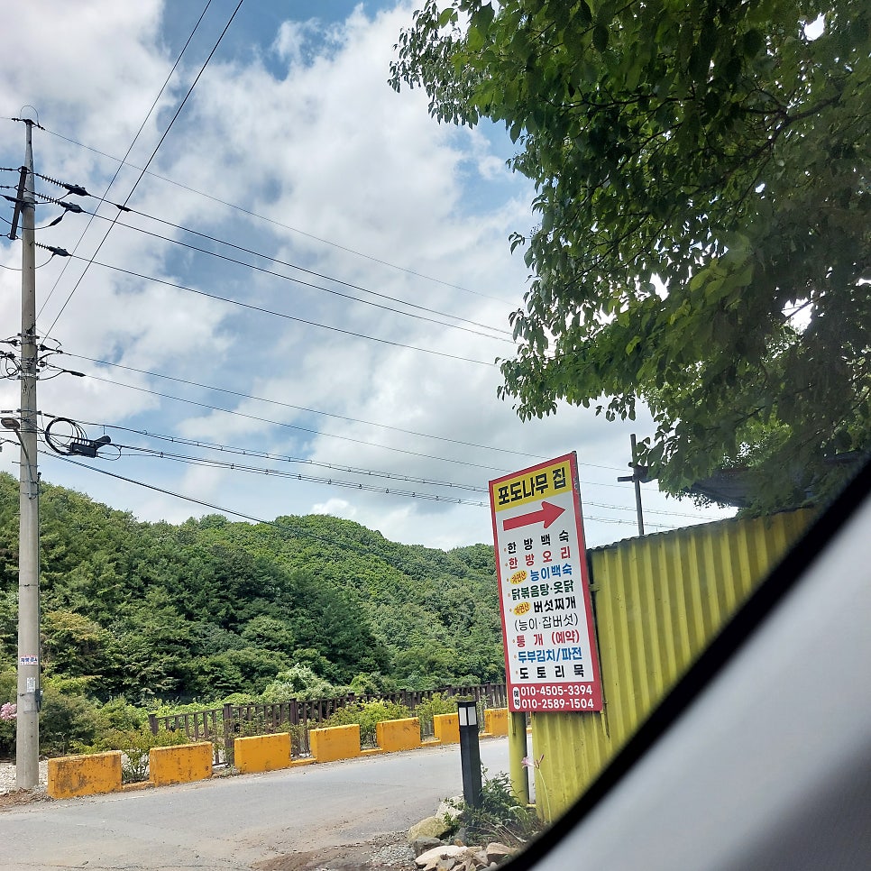 포도나무집 사진 1