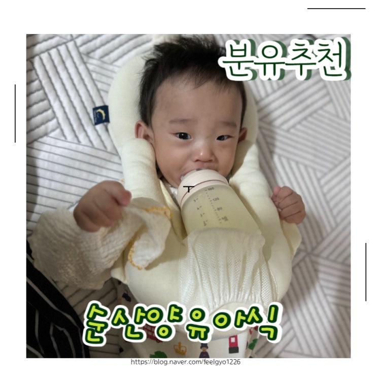  분유추천 소화잘되는 아이배냇 순상양유아식