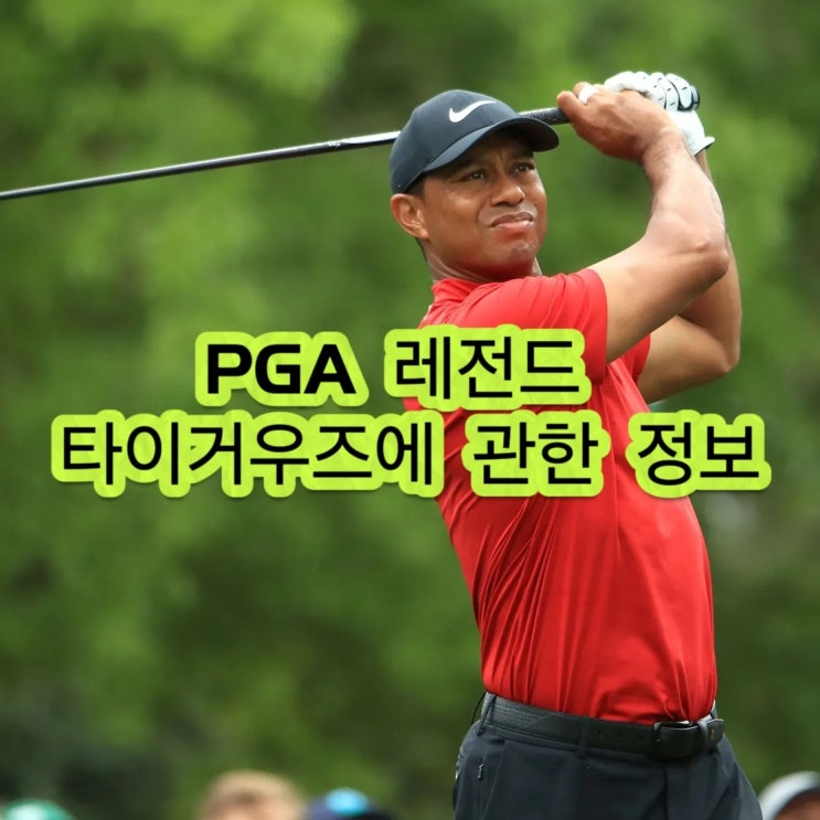 PGA 레전드 <b>타이거우즈</b>에 관한 정보