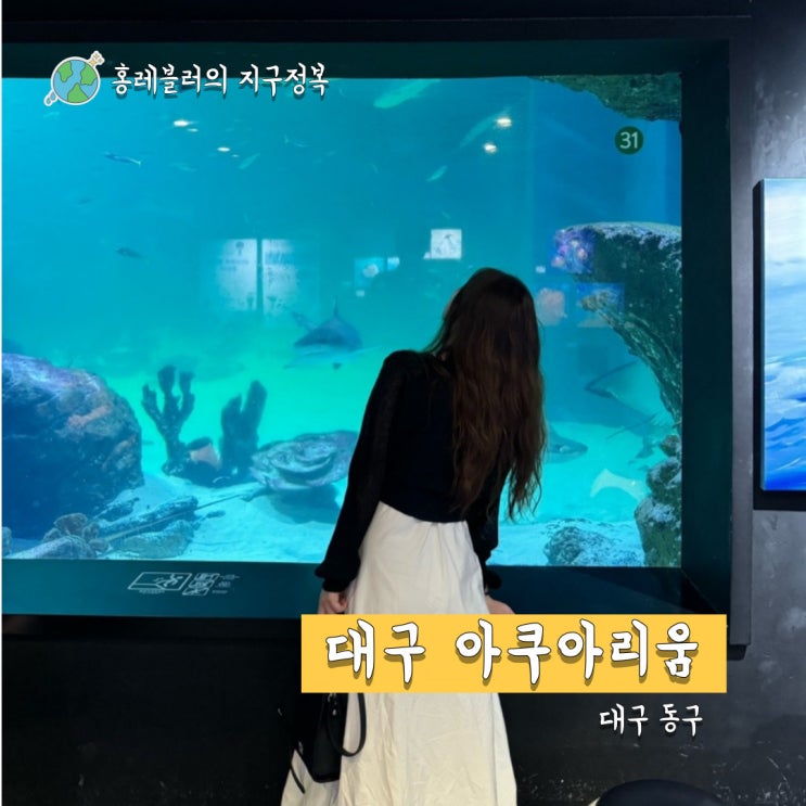  대구 여행 실내데이트 가볼만한곳 대구아쿠아리움 + 주차, 할인정보