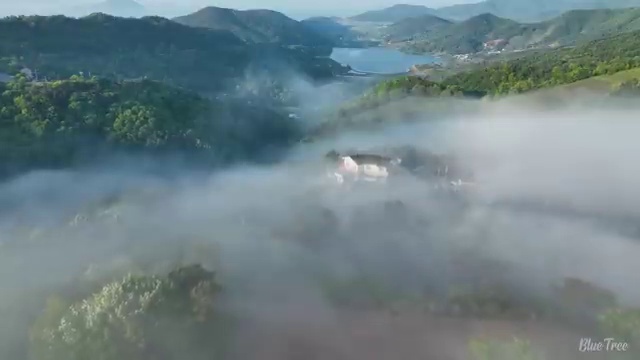  축산기사 자격증 축산기사 자격요건 학점은행제로 4개월 만에 끝낸 비법