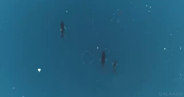  학점은행제 자격증 , 일정을 꼼꼼하게 관리해주는 학점은행제 학습플래너 확인해보세요