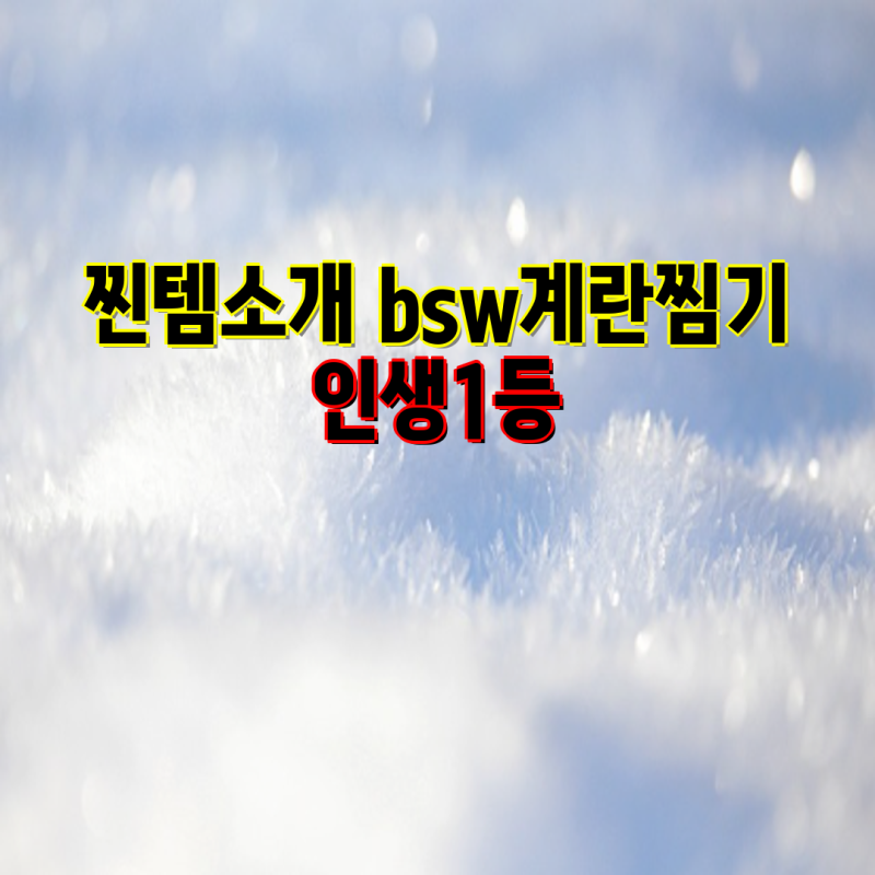 계란찜기 추천| 인생템 찾기! BSW, Bear, 한샘 등 인기 제품 비교 분석 | 계란찜, 찜기, 추천, 비....