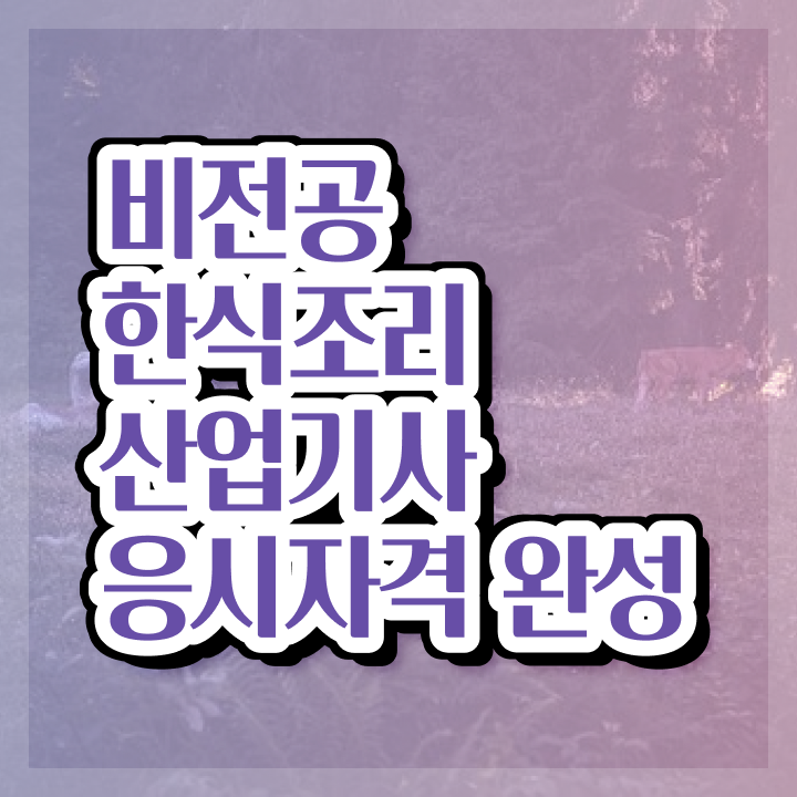  한식조리산업기사 준비물 한식조리산업기사 응시조건 인강으로 4달만에 준비한 노하우