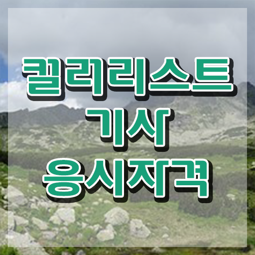  컬러리스트 기사 실기 컬러리스트기사 응시조건 인강만 듣고 1학기에 끝낸 방법