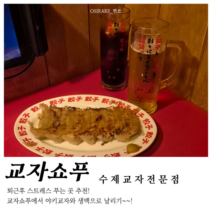  서면 술집 생맥주와 야키교자의 궁합 [교자쇼푸 수제교자전문점]