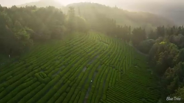 용인 사회복지사 과정 사회복지사2급 대학진학없이 학점은행제 활용하여 편하게