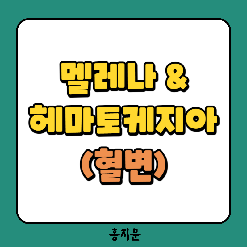 신규간호사가 알아야하는 주요질환! 멜레나(melena) & 헤마토케지아(hematochezia)
