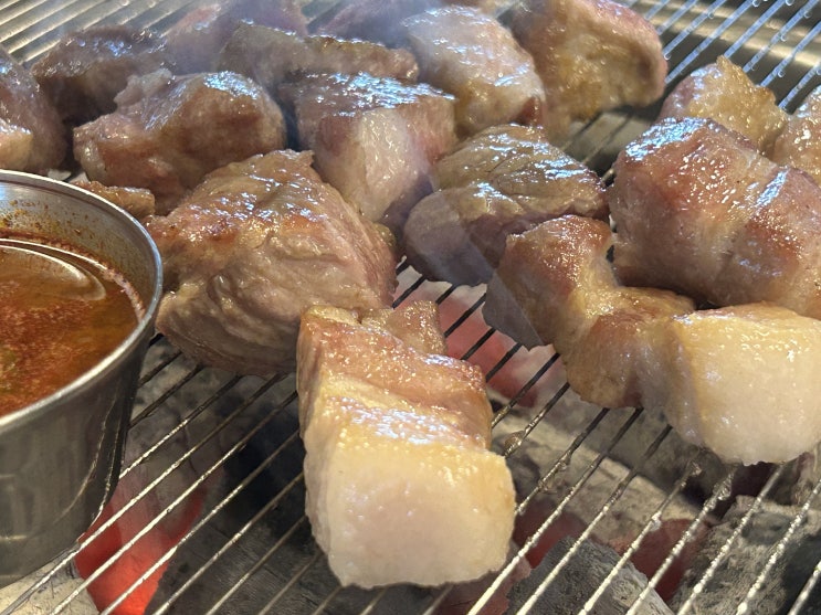  달서구 성서계대 돼지고기 맛집 도티몽