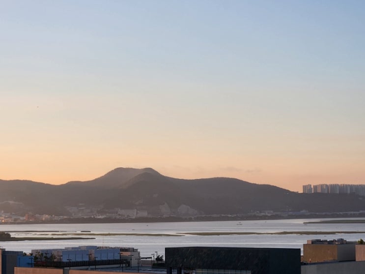  담낭 선근종증, 담낭 절제술 다빈치 로봇수술 후기 - 수술 전 날