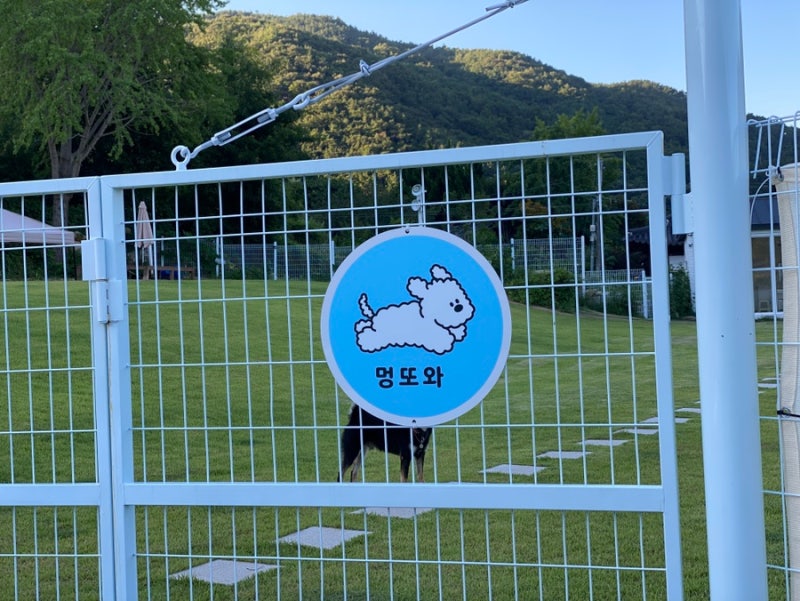 사진 4