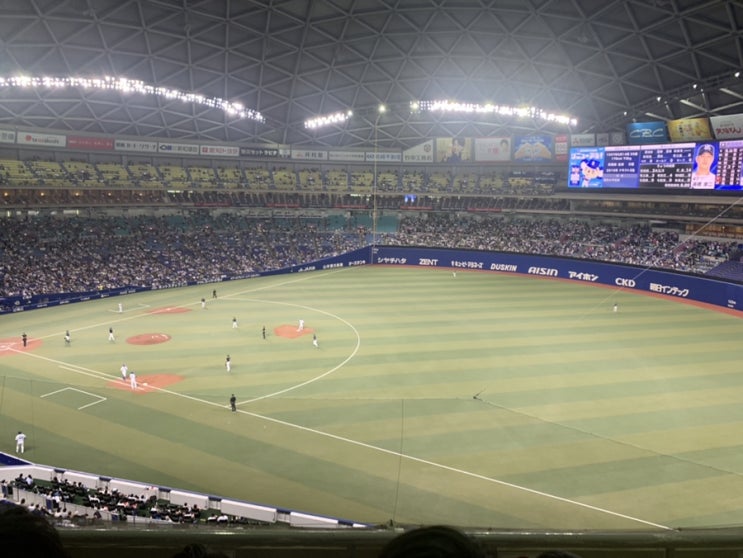  일본 교환학생 나고야 대학 야구장, 볼링, 벚꽃놀이 4월