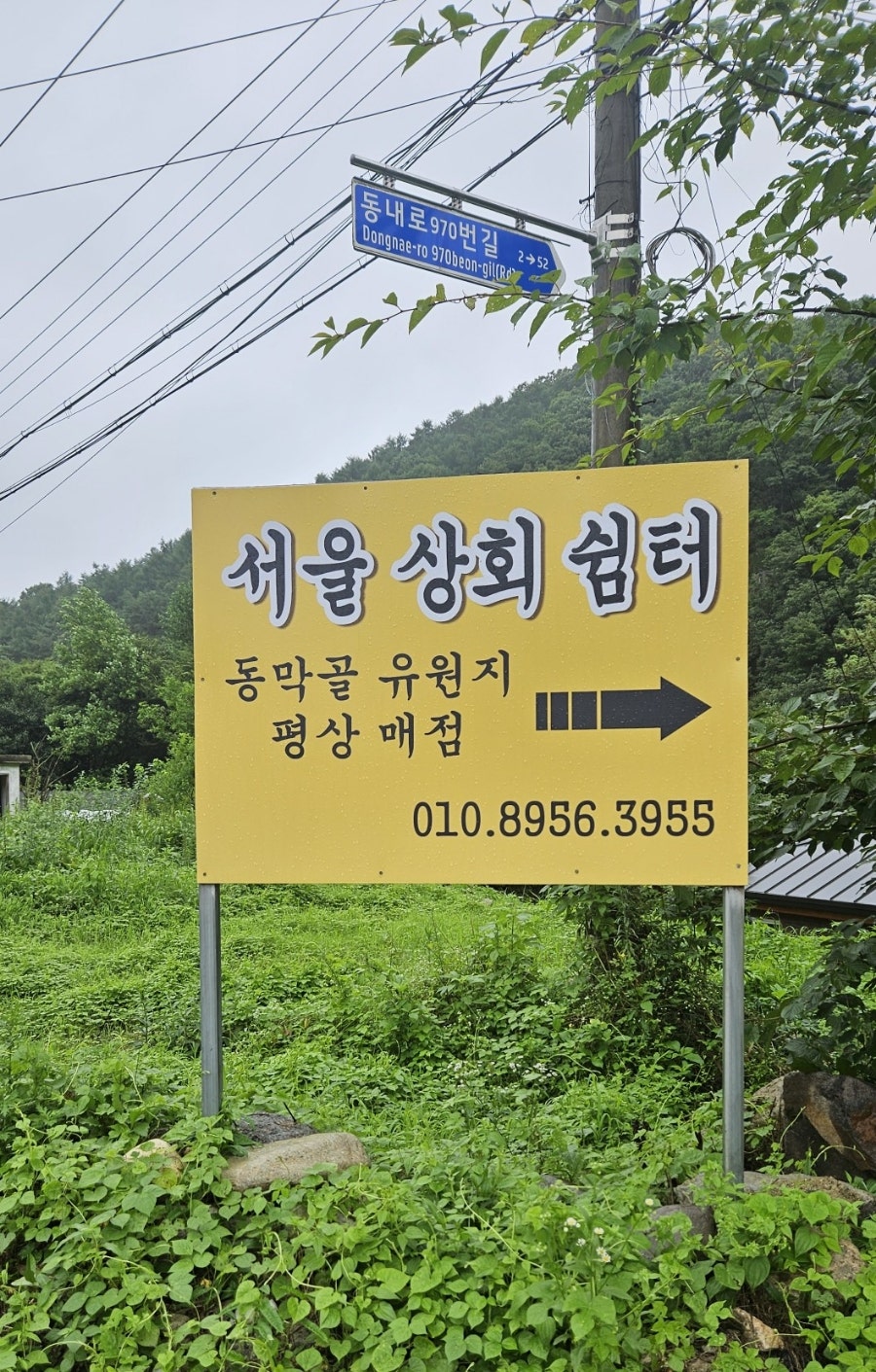 서울상회 사진 1