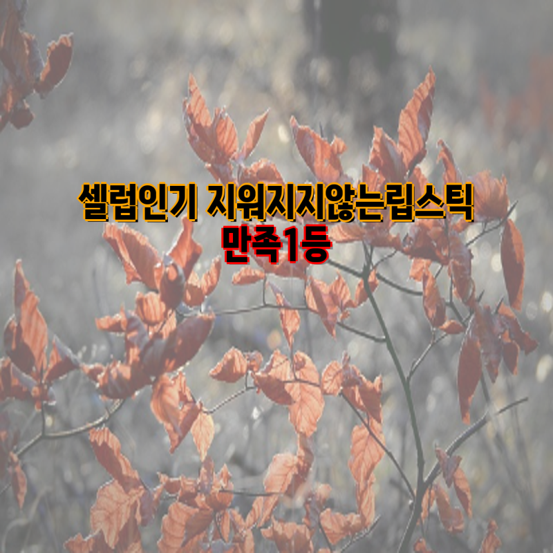 지워지지 않는 립스틱 추천| 셀럽 인생템부터 묻어나지 않는 핑크 타투까지! | 루아인, 라꼼....