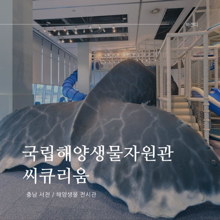  국립해양생물자원관 시큐리움 바다마을 고래고래