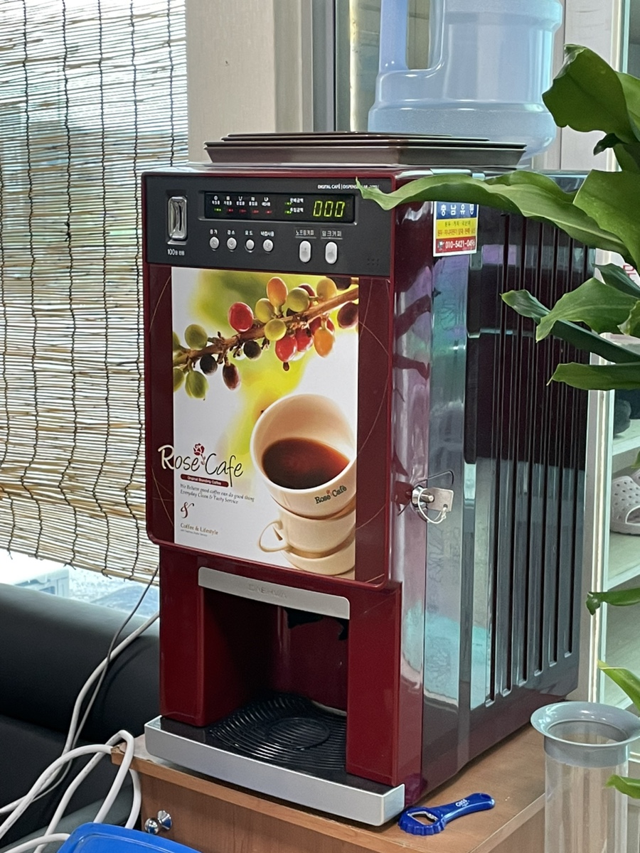 고벨화 사진 6