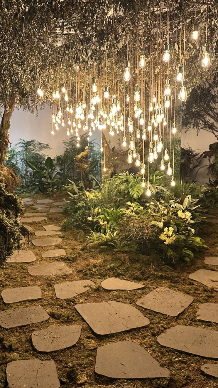 더서울라이티움 전시, 2024 팀보타展 하울림: 아림의 시간, 아티스트 윤하 도슨트