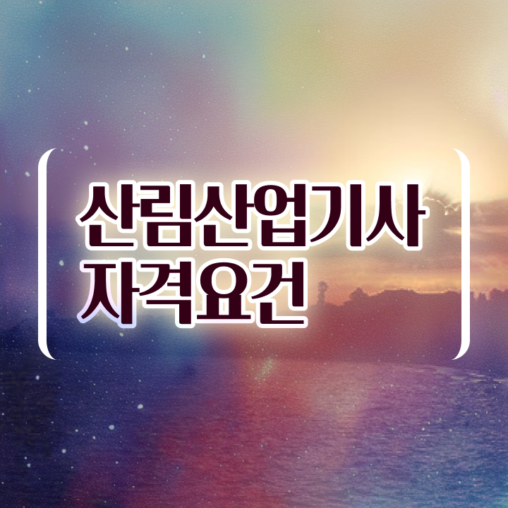  산림산업기사 관련학과 산림산업기사 자격요건 독학으로 5개월 만에 준비한 후기