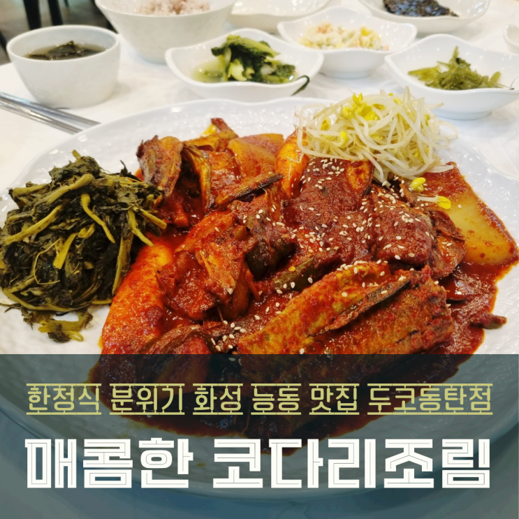  화성 능동 맛집 코다리조림 점심특선 두코 동탄점