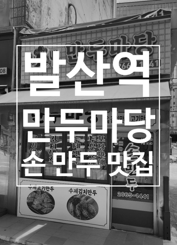  만두마당 발산역 이대서울병원 만두 맛집 점심 혼밥