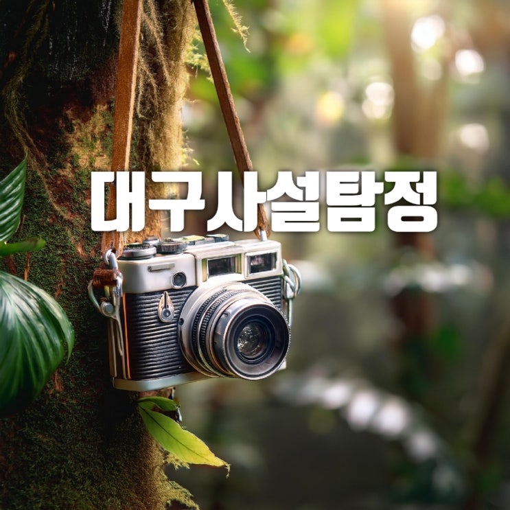  대구시사설탐정 칠곡사설탐정 오즈탐정의 증거수집 TOP 7