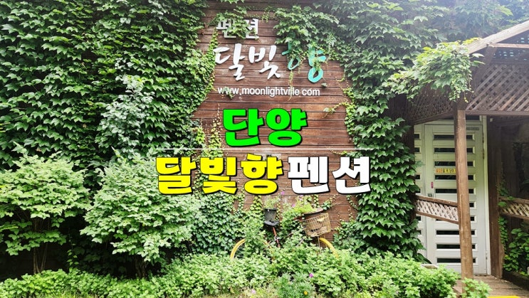 충북여행 충주호 리버뷰 단양펜션 · 단양 달빛향 펜션 충북여행 충주호 리버뷰 단양펜션 · 단양 달빛향 펜션