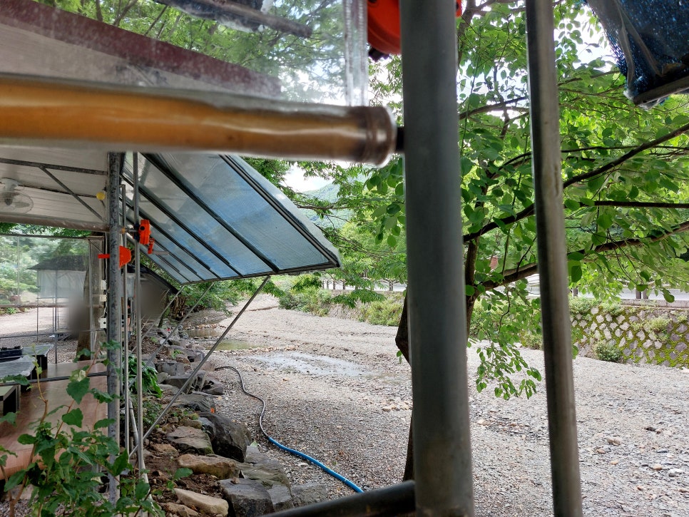 포도나무집 사진 4