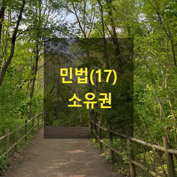  핵심만 알아보는 민법(17) - 소유권(구분소유, 집합건물, 상린관계, 생활방해, 인지사용청구권, 주위토지통행권, 무주물, 유실물, 매장물, 첨부, 취득시효, 물권적청구권)