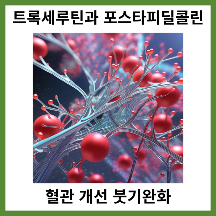  트록세루틴과 포스파티딜콜린 혈관 개선 붓기 완화