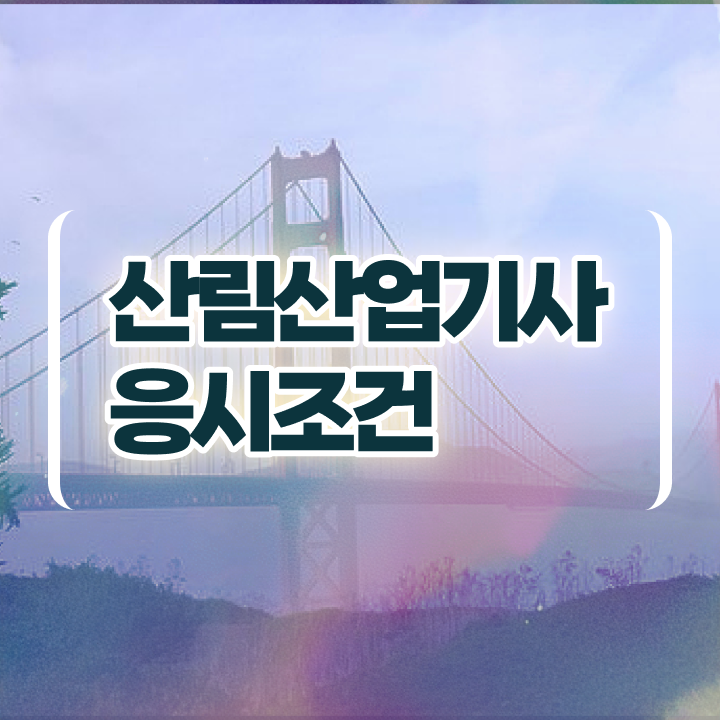  산림산업기사 학점은행 산림산업기사 응시자격 온라인 과정으로 15주만에 끝낸 노하우