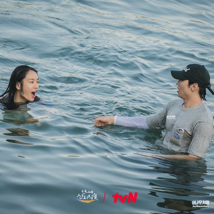 본 요즘 예능 추천, tvn mbc sbs 3파전 누가 1위?(ft. <b>서진이네2</b>)