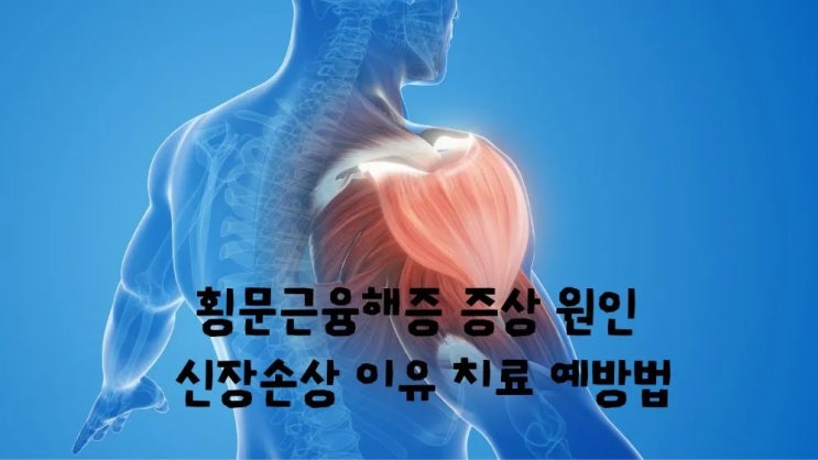  횡문근융해증 근육손상 증상 위치 원인 치료 예방법